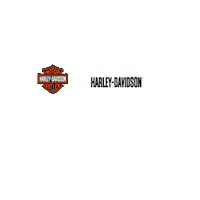 Desert Wind Motorcycle Sticker by Jet City Harley Davidson
