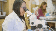 Unlv Research GIF by UNLV