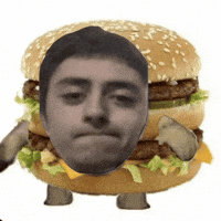 Cat Burger GIF
