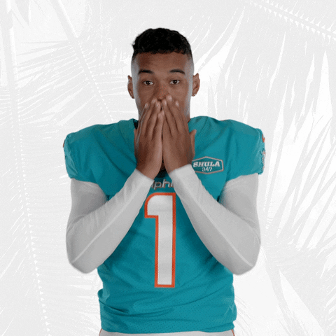 Oh My God Wow GIF by Miami Dolphins