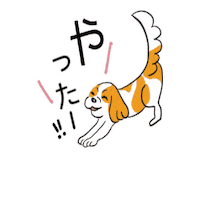 ビノルカ Sticker