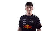 Red Bull Sr Sticker by Oracle Red Bull Racing
