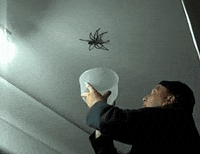scared time GIF