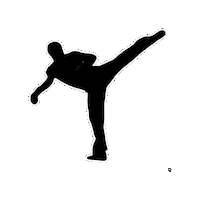 Free Dojo Sticker by Deporte Free