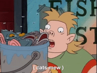 hey arnold nicksplat GIF