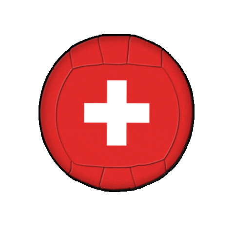 swissdodgeball giphyupload swiss dodgeball swissdodgeball Sticker