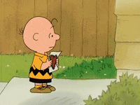 Charlie Brown Love GIF by Peanuts