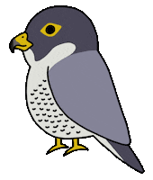 Birds Of Prey Cartoon Sticker