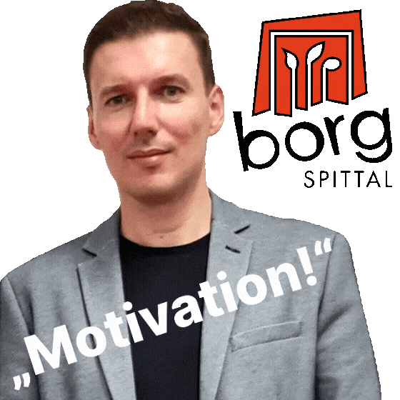 Direktor Sticker by BORG Spittal