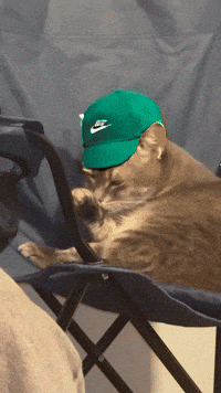 Vintage Ai GIF by Darwin
