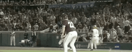 World Series Baseball GIF by NCAA Championships