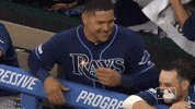 major league baseball hug GIF by MLB