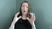 Asl Understand GIF
