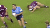 rugby league GIF by NRL