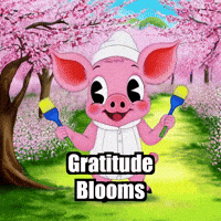 Wisdom Gratitude GIF by The Pigasso