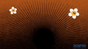 Fitness Health GIF by RENPHO