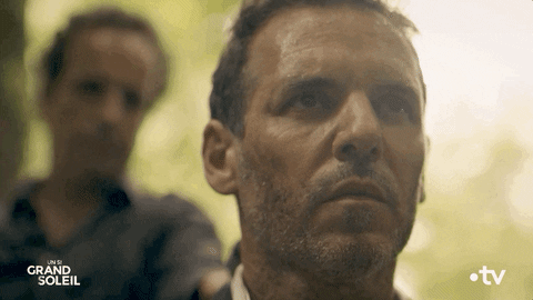 End Danger GIF by Un si grand soleil