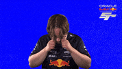 Red Bull Sr GIF by Oracle Red Bull Racing