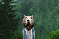 bear GIF by CsaK