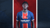 France Sport GIF by Paris Saint-Germain Handball