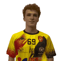 uslonshandball handball usl lons union sportive lédonienne Sticker