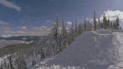 Snow Snowboarding GIF by The North Face
