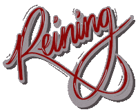 Q21 Reining Sticker by ekedie