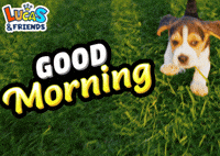 Good Morning Dog GIF by Lucas and Friends by RV AppStudios
