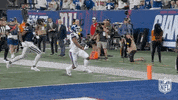 New York Giants Football GIF by NFL