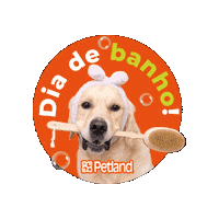 Banho Sticker by Caroline Lima