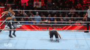 Wwe Wrestling GIF by USA Network