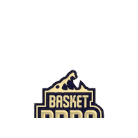 Basket Brno Sticker by ngbasket