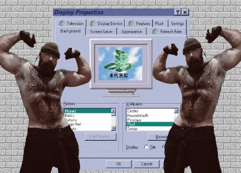 Gay Bear GIF by Database數據