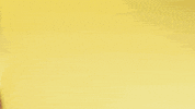 Come And Get Me Borussia Dortmund GIF by Bundesliga