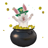 Happy St Patricks Day Sticker by chris timmons