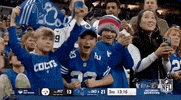 National Football League GIF by NFL
