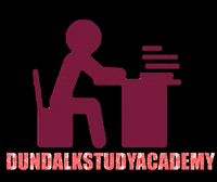 dundalkstudyacademy dsa revision leavingcert dundalkstudyacademy GIF
