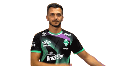 Esports Fabio Sticker by SV Werder Bremen