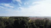 GIF by Dead Set on Life