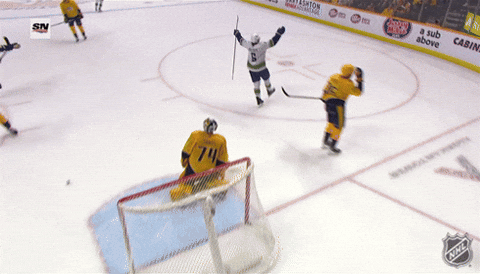 Happy National Hockey League GIF by NHL