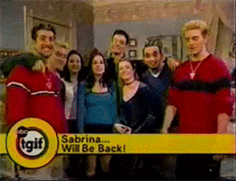sabrina the teenage witch 90s GIF