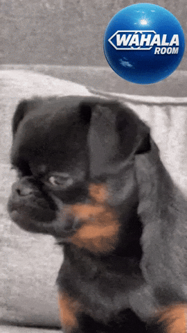 Sleepy What You Want GIF by Wahala Room