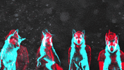 wolves GIF by Rise Against