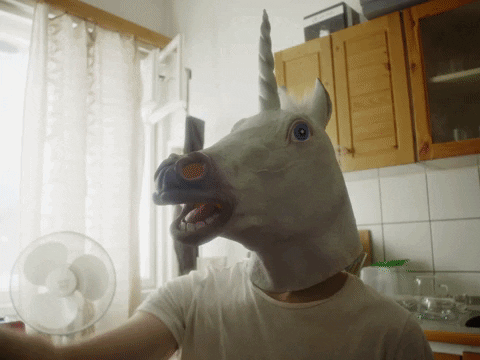 SofiaInternationalFilmFestival giphyupload 25 fridge unicorn mask GIF