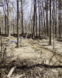 Mtb Derry GIF