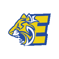 Tiger Volley Sticker by Esperia