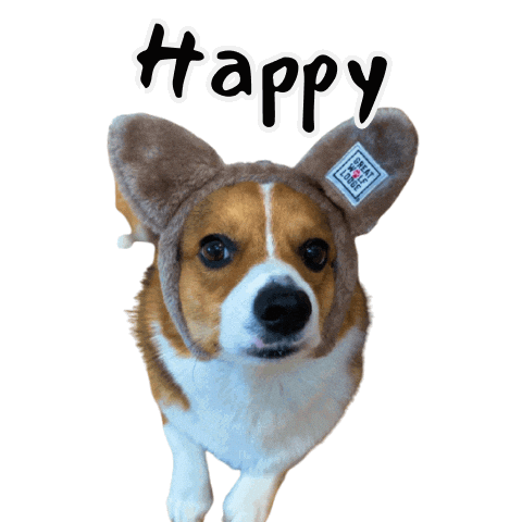 Happy Corgi Sticker