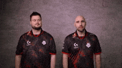 High Five Bros GIF by G2 Esports