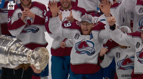 Happy Stanley Cup GIF by NHL