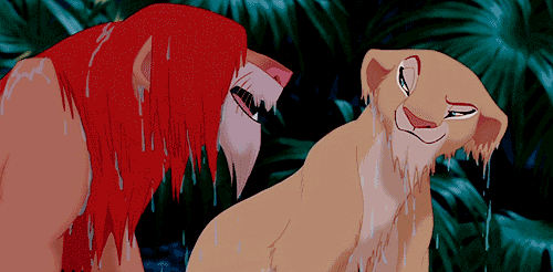 the lion king disney GIF